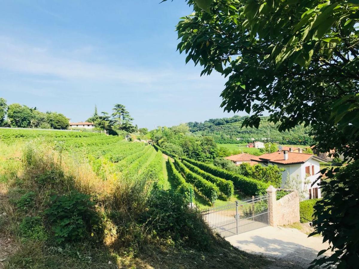 Valpolicella Homes Recioto Apartment Sant'Ambrogio di Valpolicella Exterior photo